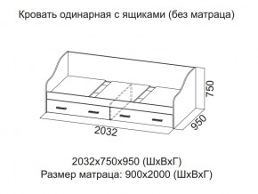 Кровать одинарная с ящиками (Без матраца 0,9*2,0) в Юрюзани - yuryuzan.magazin-mebel74.ru | фото