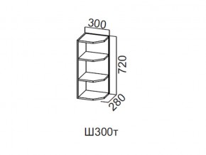 Ш300т/720 Шкаф навесной 300/720 (торцевой) в Юрюзани - yuryuzan.magazin-mebel74.ru | фото