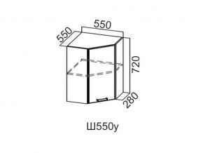 Ш550у/720 Шкаф навесной 550/720 (угловой) в Юрюзани - yuryuzan.magazin-mebel74.ru | фото