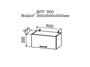 Шкаф верхний ДПГ500 горизонтальный в Юрюзани - yuryuzan.magazin-mebel74.ru | фото