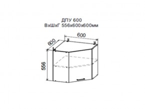 Шкаф верхний ДПУ600 угловой в Юрюзани - yuryuzan.magazin-mebel74.ru | фото